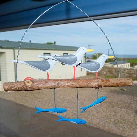 Kittiwake Appartement Saint Cyrus Buitenkant foto