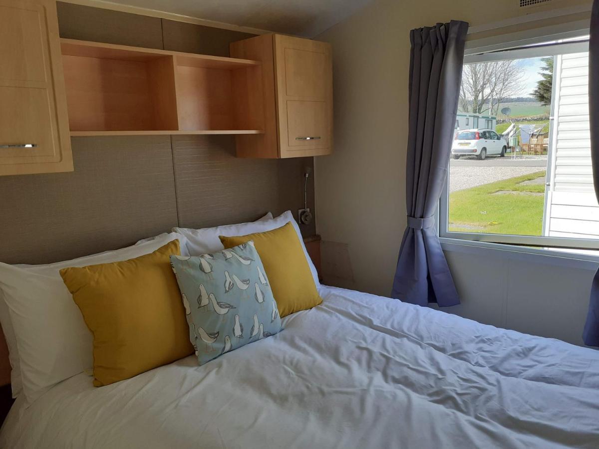 Kittiwake Appartement Saint Cyrus Buitenkant foto