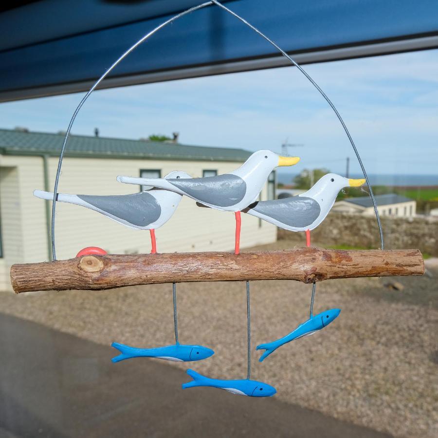 Kittiwake Appartement Saint Cyrus Buitenkant foto